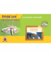 Combo Pack of Funnel Pheromone Trap + Brinjal Pheromone Lure (for Brinjal Fruit & Shoot Borer)